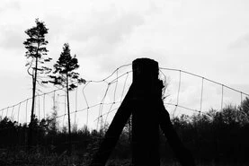 Ein Raster mehrerer Bilder mit unterschiedlichen Motiven von Makroaufnahmen über landschaften bis Stadtansichten.