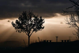 Ein Raster mehrerer Bilder mit unterschiedlichen Motiven von Makroaufnahmen über landschaften bis Stadtansichten.