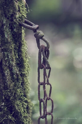 Ein Raster mehrerer Bilder mit unterschiedlichen Motiven von Makroaufnahmen über landschaften bis Stadtansichten.