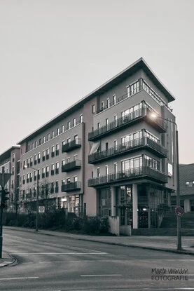 Ein Raster mehrerer Bilder mit unterschiedlichen Motiven von Makroaufnahmen über landschaften bis Stadtansichten.