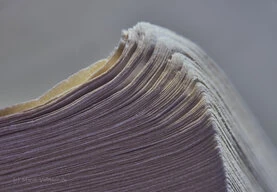 Ein Raster mehrerer Bilder mit unterschiedlichen Motiven von Makroaufnahmen über landschaften bis Stadtansichten.